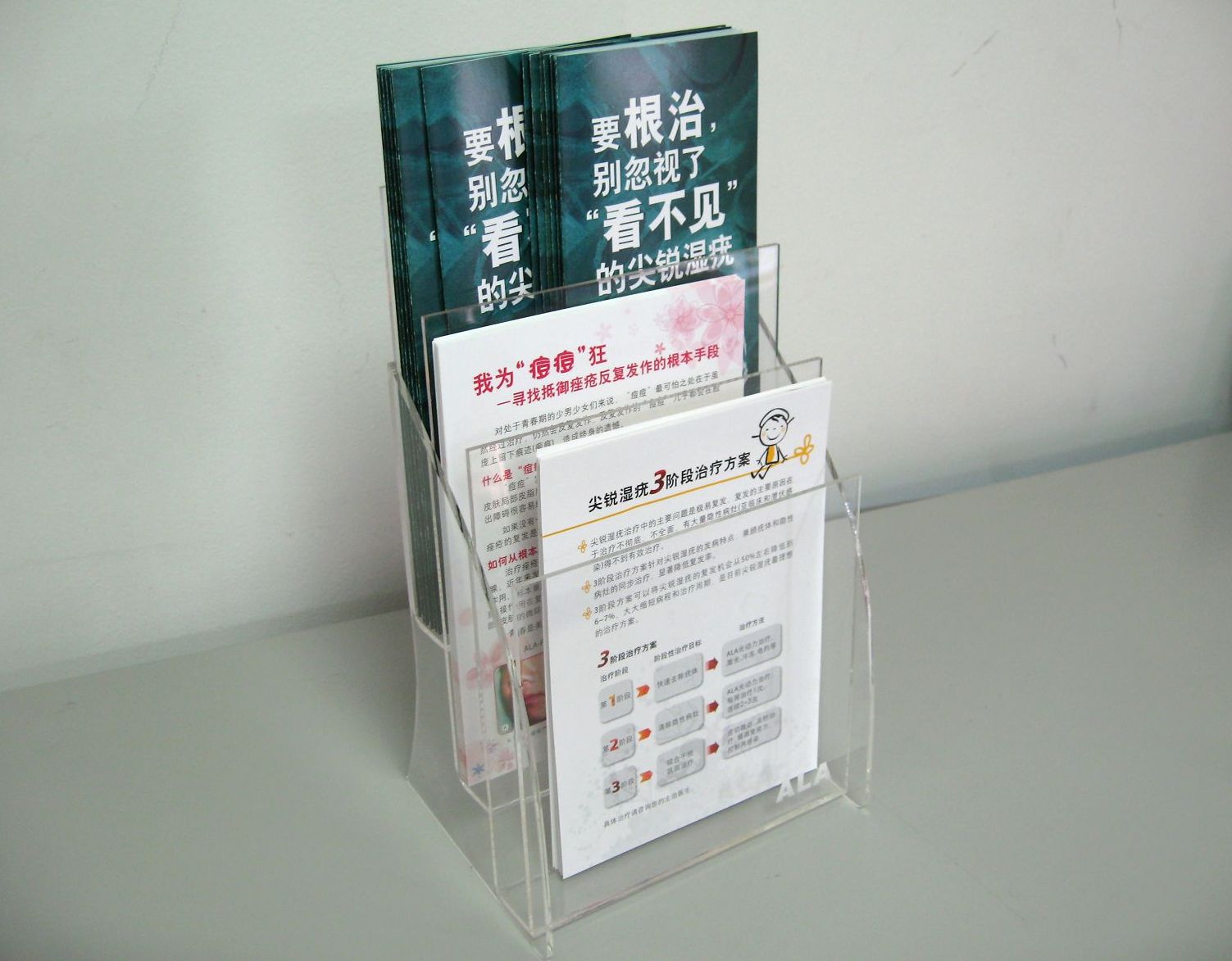 Acrylic vertical information rack